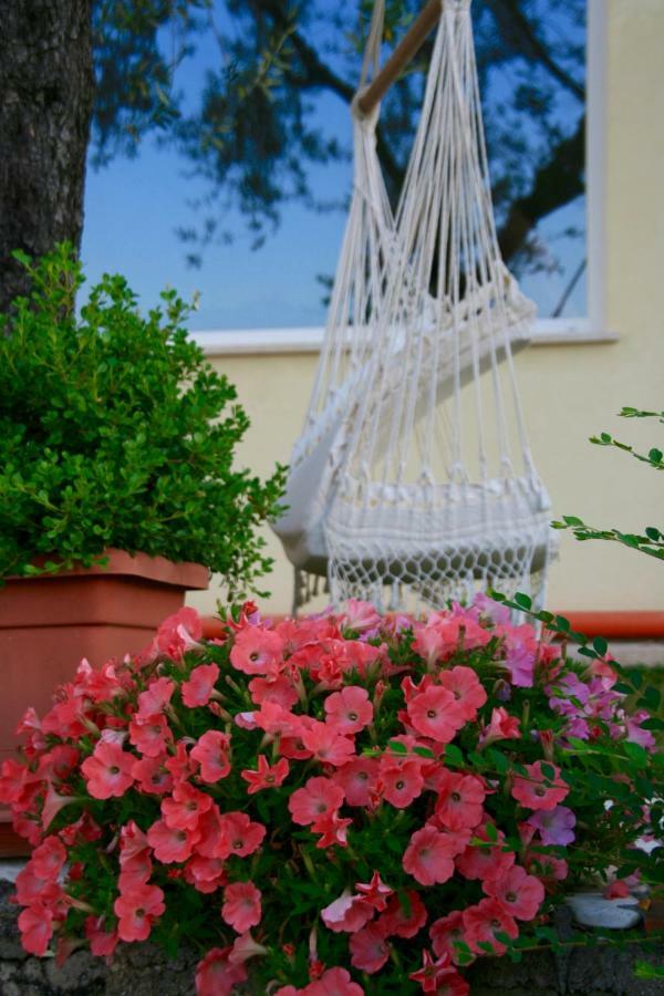 Globetrotter Bed and Breakfast Formia Eksteriør billede