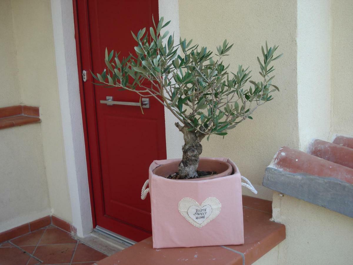 Globetrotter Bed and Breakfast Formia Eksteriør billede